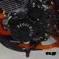Мотоцикл Regulmoto ATHLETE PRO 300 (4 valves) 6 передач