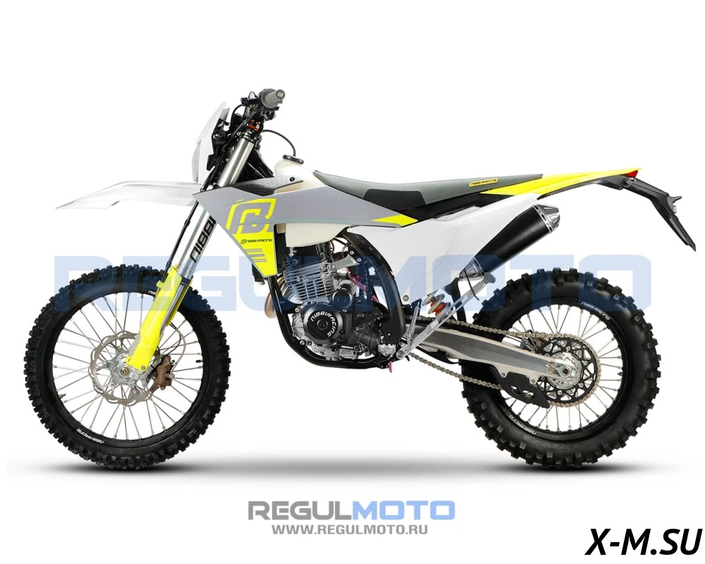 Мотоцикл Regulmoto NIBBI N300 (СB300RL) Мотоцикл Regulmoto NIBBI N300 (СB300RL)