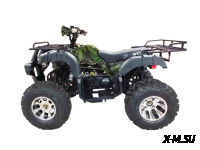 Квадроцикл WELS THUNDER 200