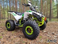 Квадроцикл PROMAX SCORPION 180