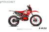 Кроссовый мотоцикл FAIDET BERNA PR300-PRO FPS