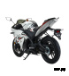 Мотоцикл MOTOLAND (МОТОЛЕНД) R1 300