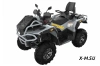 Квадроцикл STELS ATV GUEPARD 1000 PE (TROPHY PRO) 2.0