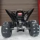 Квадроцикл PROMAX RAPTOR 300 NEW